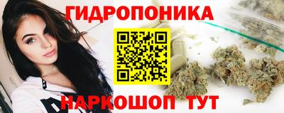 сатива Краснодар