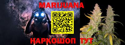 сатива Краснодар