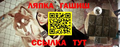 сатива Краснодар