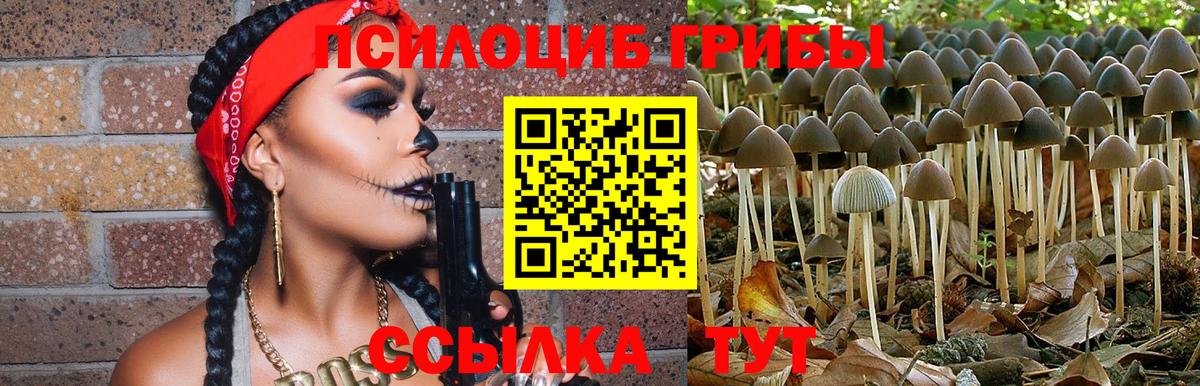Псилоцибиновые грибы Magic Shrooms Избербаш