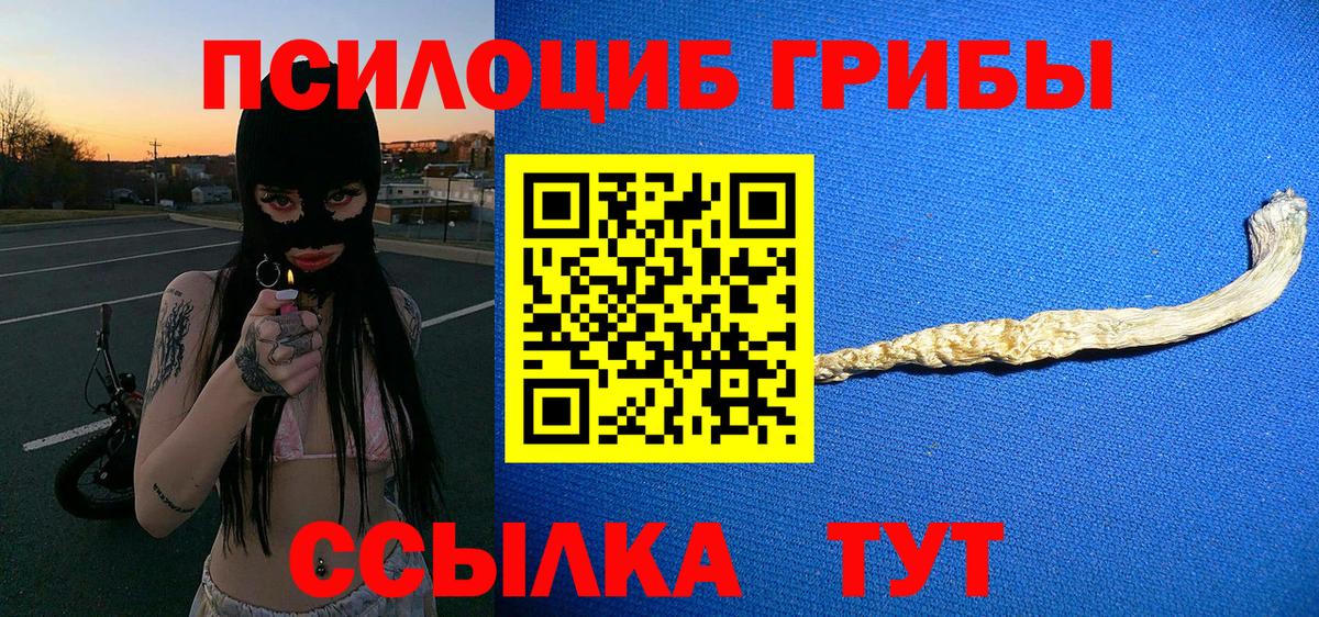 Псилоцибиновые грибы Cubensis  Псилоцибиновые грибы MAGIC MUSHROOMS  Вход с VPN  Избербаш 